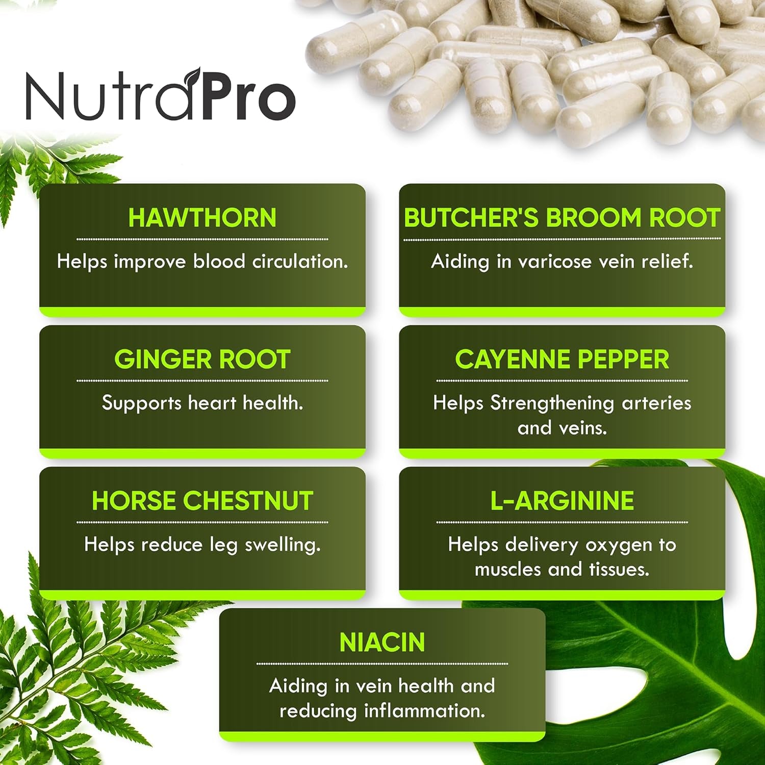 Best Blood Circulation Supplements and Vein Support-Blood Flow, Leg Circulation,