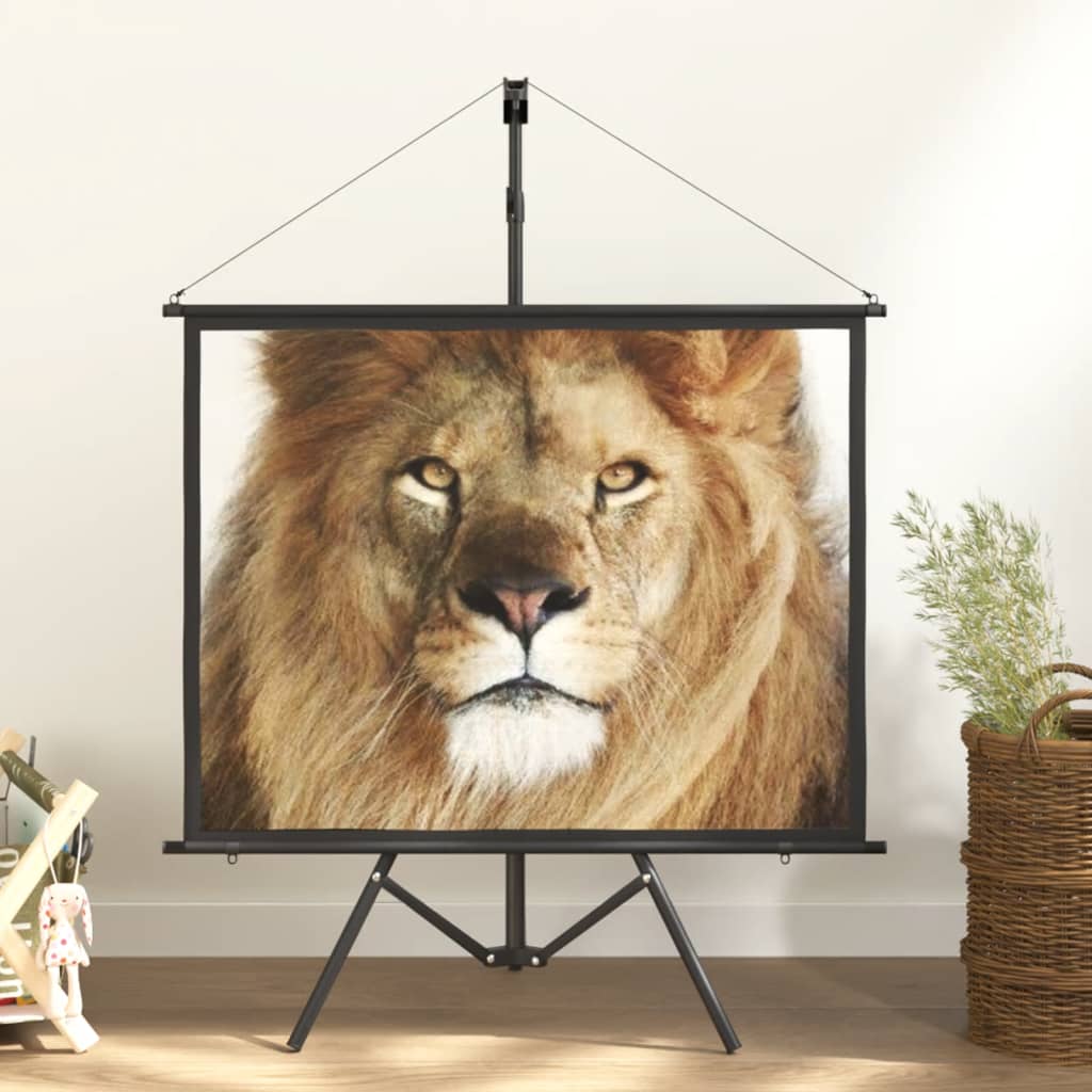vidaXL projection screen Home Theater Screen Pull-down Projector Screen 4:3