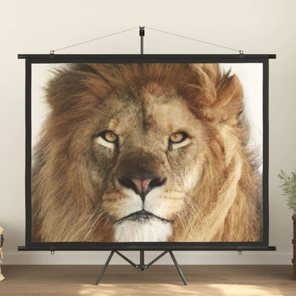 vidaXL projection screen Home Theater Screen Pull-down Projector Screen 4:3