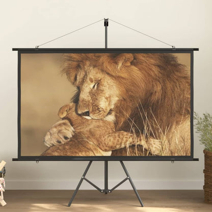 vidaXL projection screen Home Theater Screen Pull-down Projector Screen 4:3