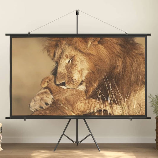 vidaXL projection screen Home Theater Screen Pull-down Projector Screen 4:3