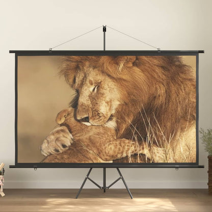 vidaXL projection screen Home Theater Screen Pull-down Projector Screen 4:3