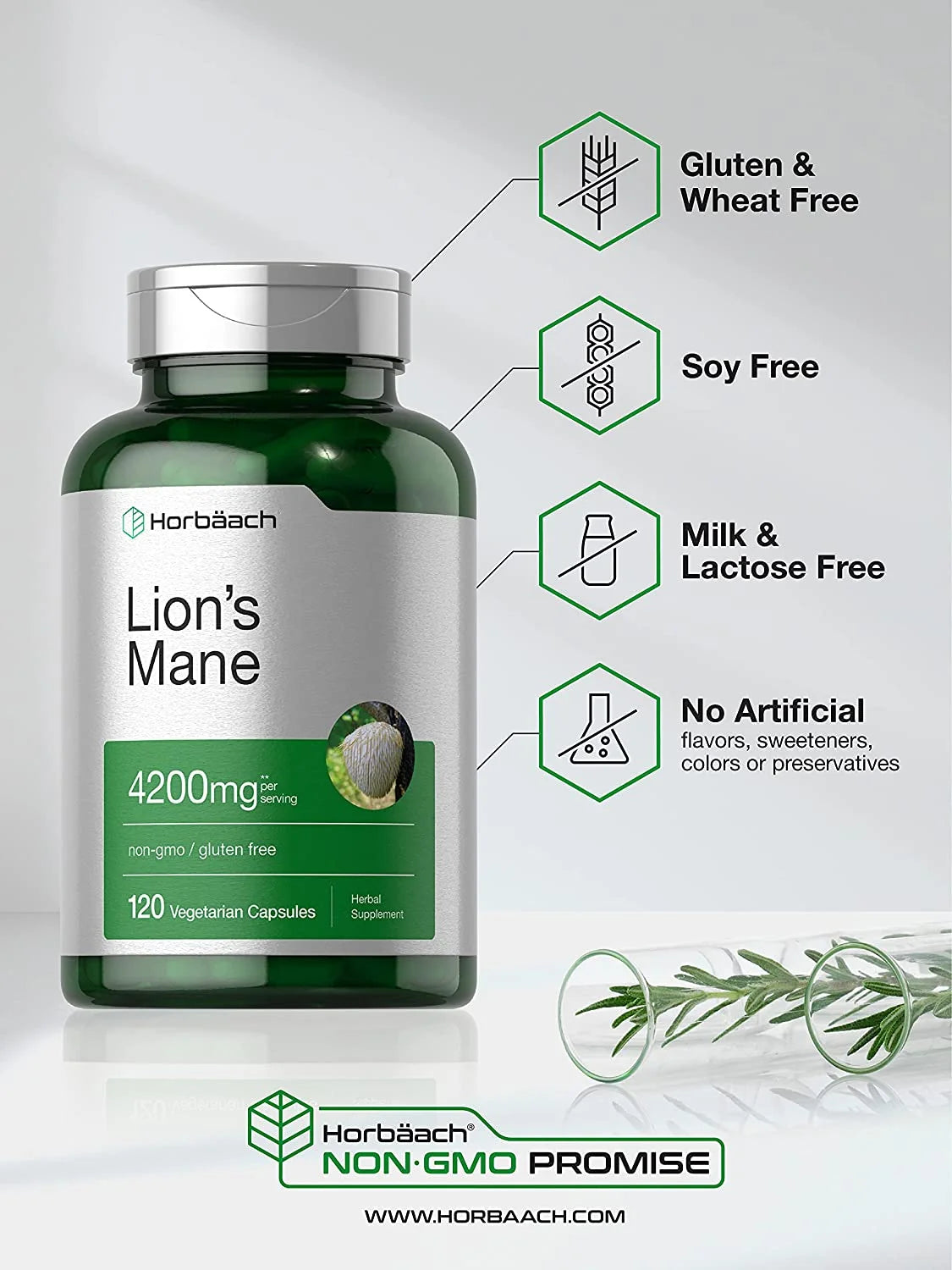 Lions Mane Mushroom | 4200Mg | 120 Capsules for Men and Women | Vegetarian Extract | by