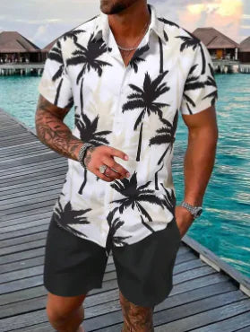 Men's 3D Print Beach Shirt & Shorts Set